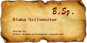 Blaha Szilveszter névjegykártya