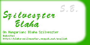 szilveszter blaha business card